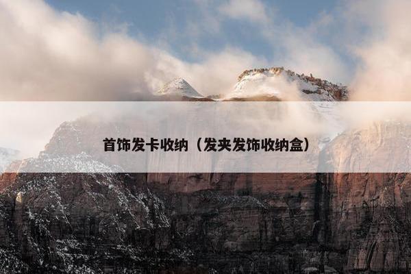 首饰发卡收纳(发夹发饰收纳盒) 首饰发卡收纳(发夹发饰收纳盒)