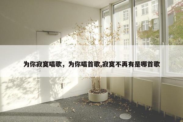 为你寂寞唱歌，为你唱首歌,寂寞不再有是哪首歌