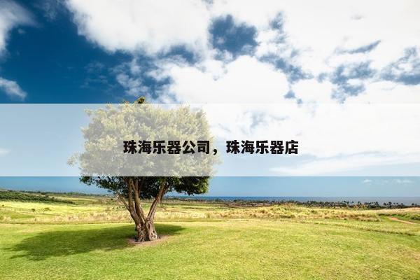 珠海乐器公司，珠海乐器店