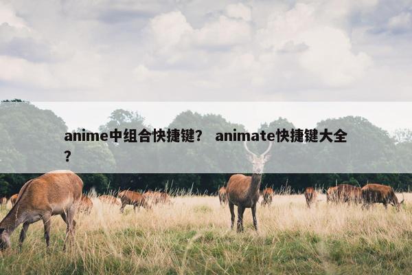 anime中组合快捷键？ animate快捷键大全？
