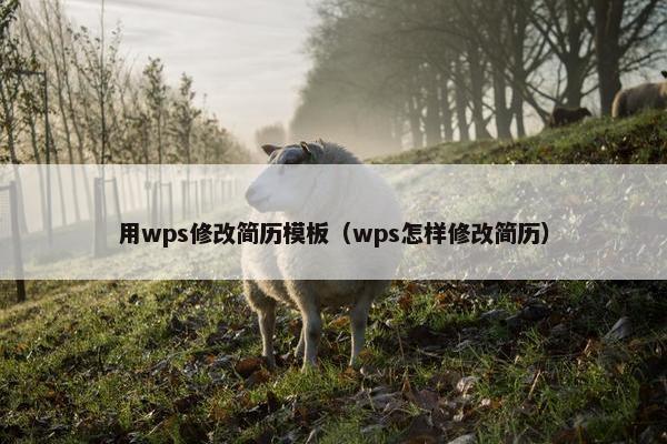 用wps修改简历模板（wps怎样修改简历）