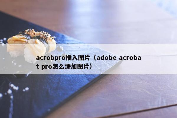 acrobpro插入图片（adobe acrobat pro怎么添加图片）