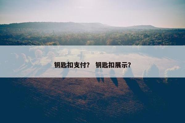 钥匙扣支付？ 钥匙扣展示？