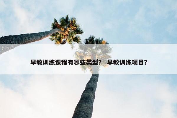 早教训练课程有哪些类型？ 早教训练项目？