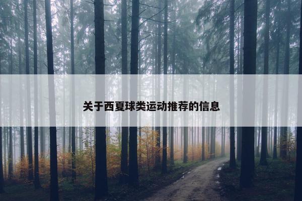 关于西夏球类运动推荐的信息