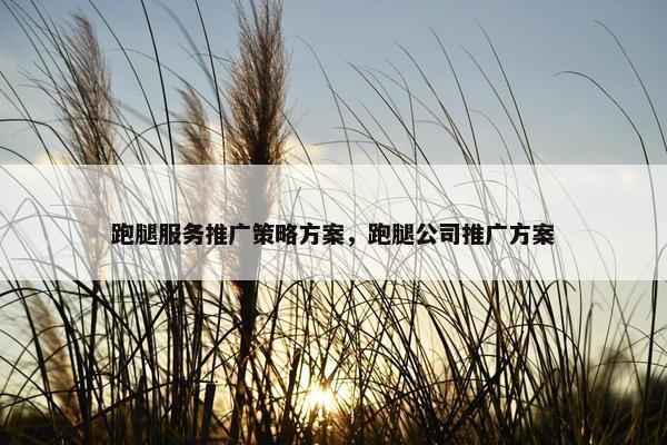 跑腿服务推广策略方案，跑腿公司推广方案