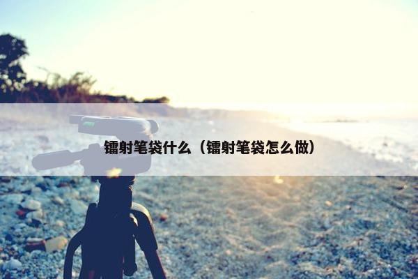 镭射笔袋什么（镭射笔袋怎么做）