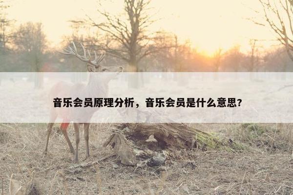 音乐会员原理分析，音乐会员是什么意思?