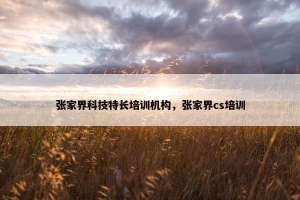 张家界科技特长培训机构，张家界cs培训