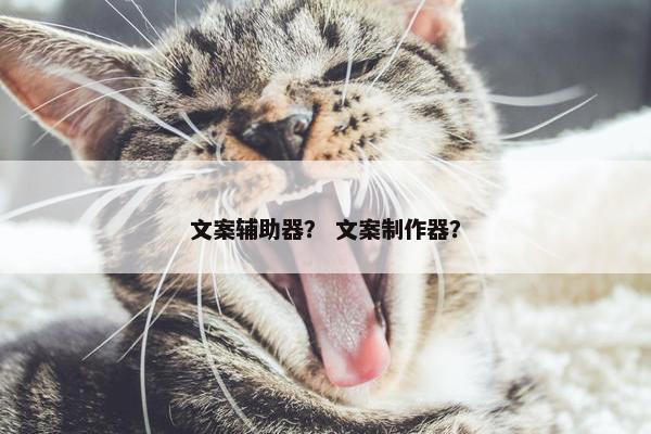 文案辅助器？ 文案制作器？