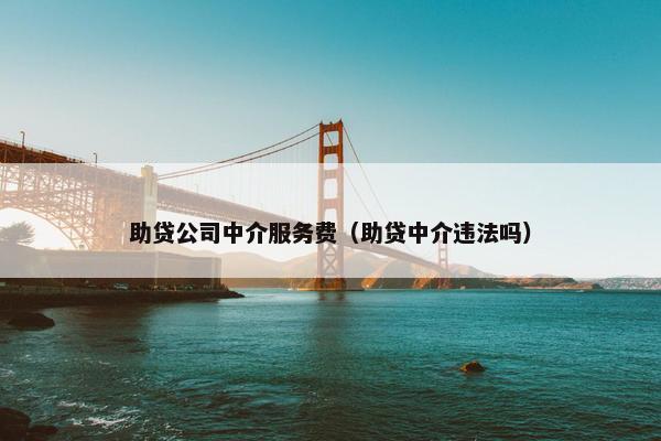 助贷公司中介服务费（助贷中介违法吗）