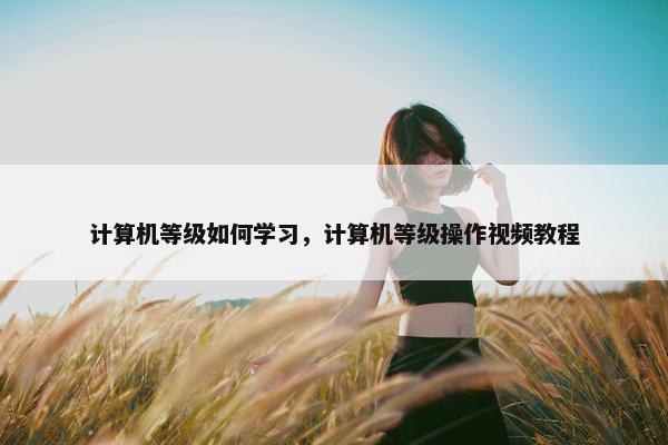 计算机等级如何学习，计算机等级操作视频教程