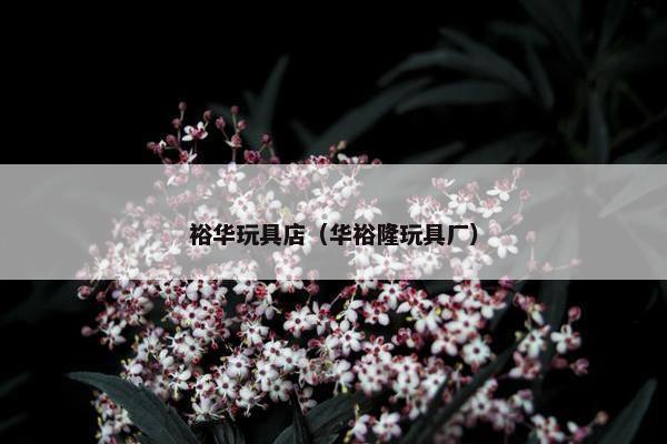 裕华玩具店（华裕隆玩具厂）