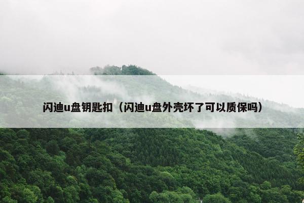 闪迪u盘钥匙扣（闪迪u盘外壳坏了可以质保吗）