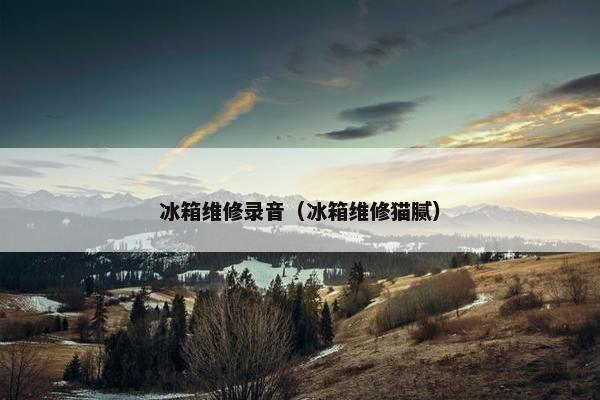 冰箱维修录音(冰箱维修猫腻) 冰箱维修录音(冰箱维修猫腻)
