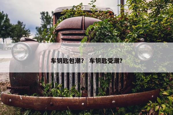 车钥匙包潮？ 车钥匙受潮？