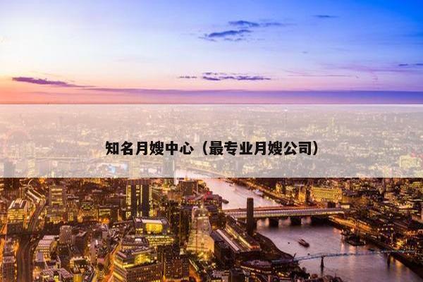 知名月嫂中心（最专业月嫂公司）