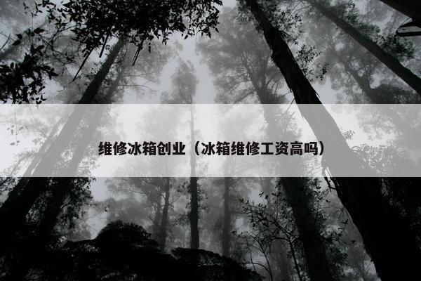 维修冰箱创业（冰箱维修工资高吗）