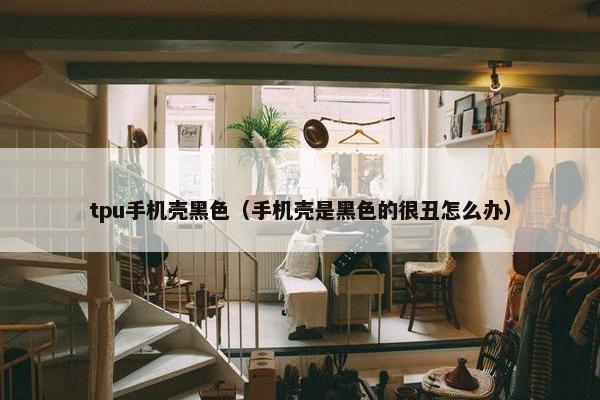 tpu手机壳黑色（手机壳是黑色的很丑怎么办）