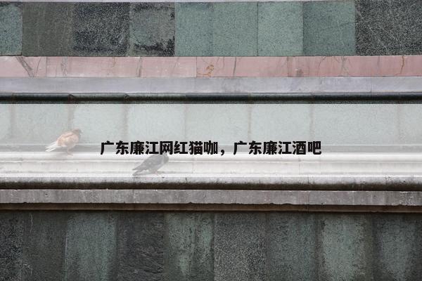广东廉江网红猫咖，广东廉江酒吧