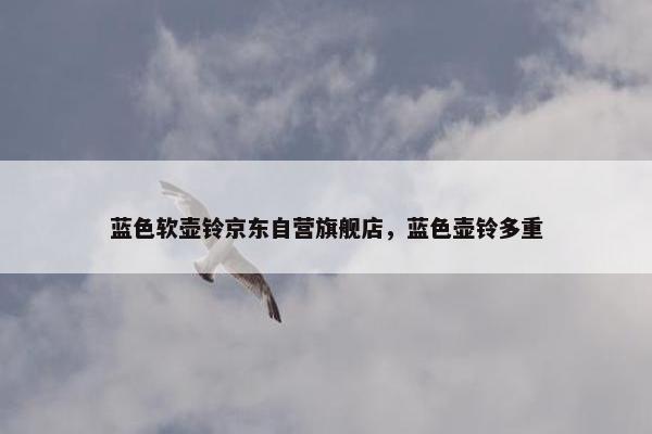 蓝色软壶铃京东自营旗舰店，蓝色壶铃多重