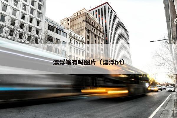 漂浮笔有吗图片（漂浮bt）
