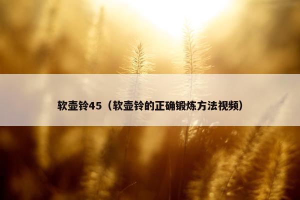 软壶铃45（软壶铃的正确锻炼方法视频）