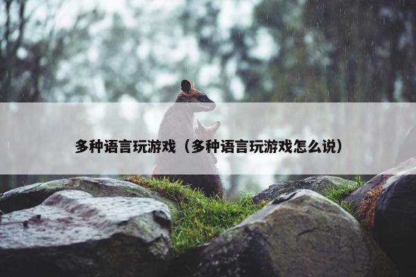 多种语言玩游戏（多种语言玩游戏怎么说）