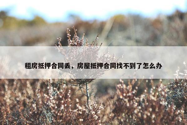 租房抵押合同丢，房屋抵押合同找不到了怎么办