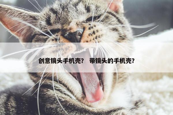 创意镜头手机壳？ 带镜头的手机壳？