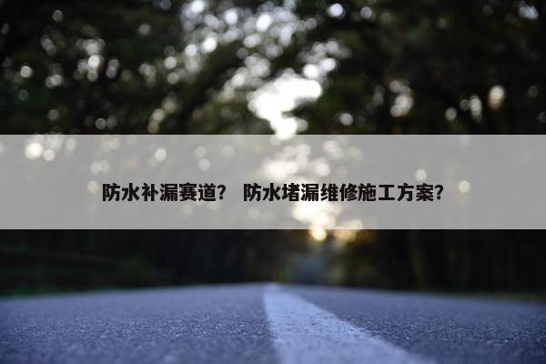 防水补漏赛道？ 防水堵漏维修施工方案？