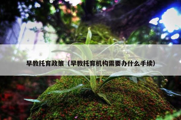 早教托育政策（早教托育机构需要办什么手续）