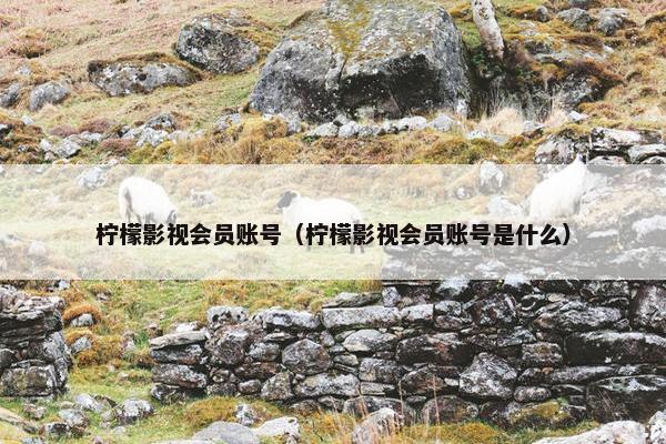 柠檬影视会员账号（柠檬影视会员账号是什么）
