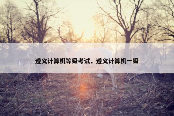 遵义计算机等级考试，遵义计算机一级