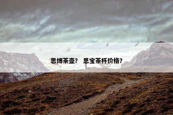 思博茶壶？ 思宝茶杯价格？