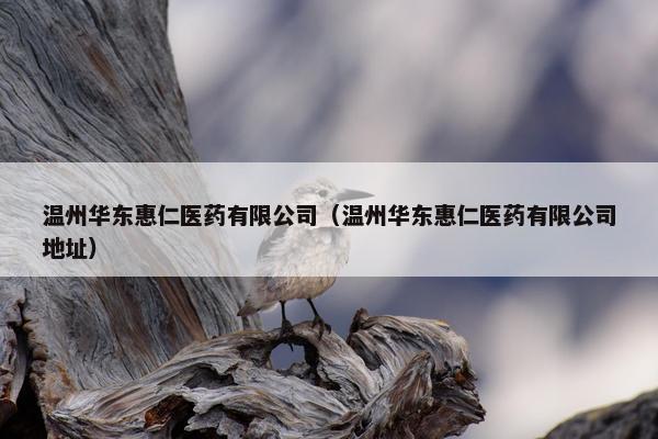 温州华东惠仁医药有限公司（温州华东惠仁医药有限公司地址）