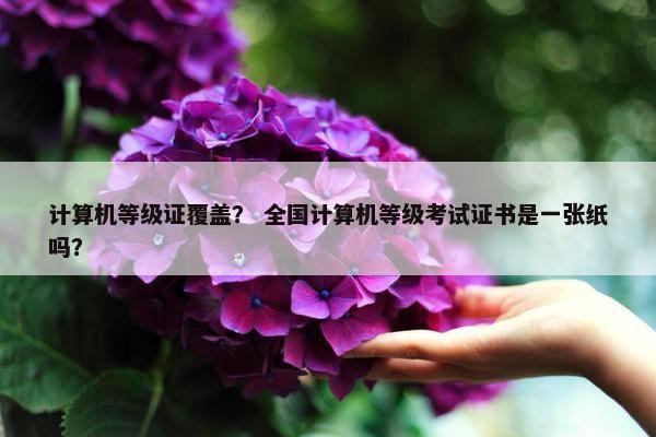 计算机等级证覆盖？ 全国计算机等级考试证书是一张纸吗？