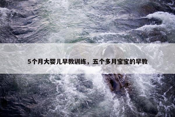 5个月大婴儿早教训练,五个多月宝宝的早教 5个月大婴儿早教训练,五个多月宝宝的早教