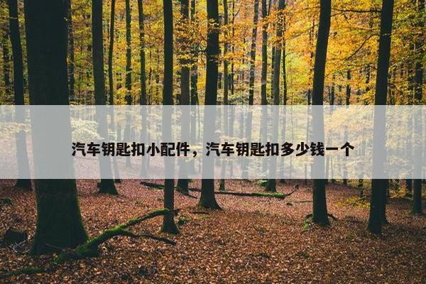 汽车钥匙扣小配件，汽车钥匙扣多少钱一个