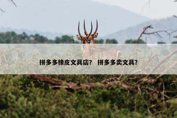 拼多多橡皮文具店？ 拼多多卖文具？