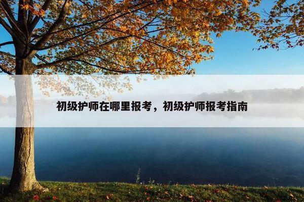 初级护师在哪里报考，初级护师报考指南