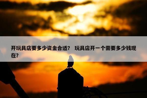 开玩具店要多少资金合适？ 玩具店开一个需要多少钱现在？