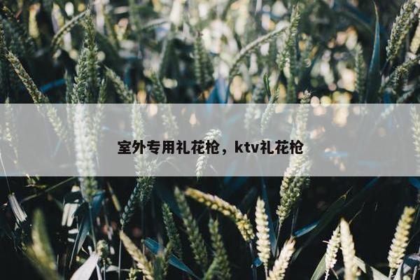 室外专用礼花枪，ktv礼花枪