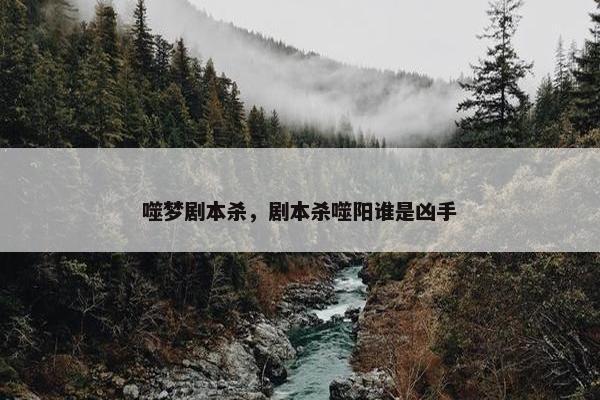 噬梦剧本杀，剧本杀噬阳谁是凶手