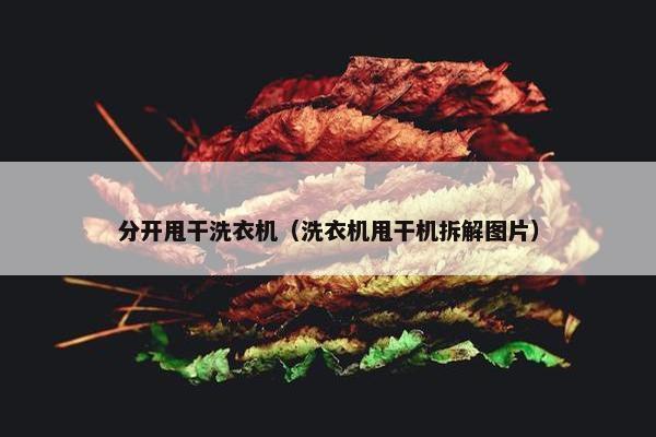 分开甩干洗衣机（洗衣机甩干机拆解图片）