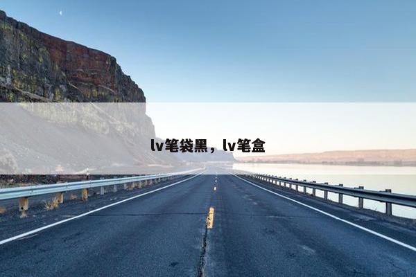 lv笔袋黑，lv笔盒