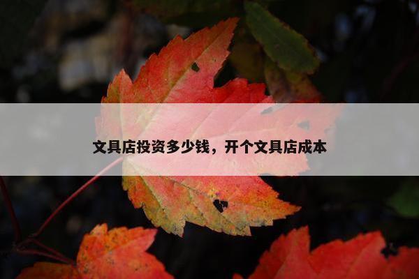 文具店投资多少钱，开个文具店成本