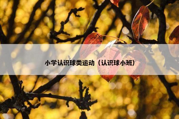 小学认识球类运动（认识球小班）