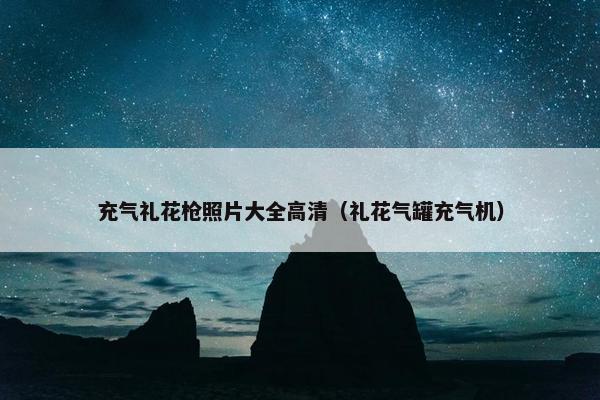 充气礼花枪照片大全高清(礼花气罐充气机) 充气礼花枪照片大全高清(礼花气罐充气机)