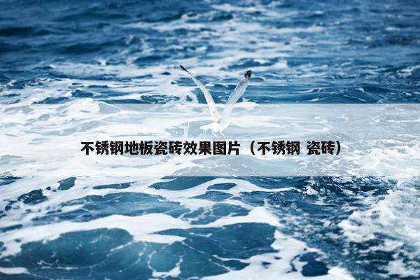 不锈钢地板瓷砖效果图片（不锈钢 瓷砖）